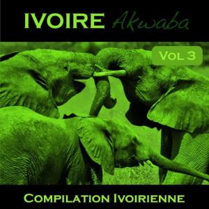 Various Artists的專輯Variété Côte d'Ivoire Vol. 3