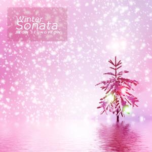 Album Winter Sonata from Seon Seungyeon