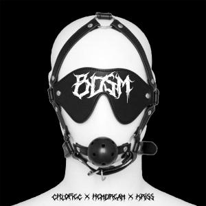 chlopiec的專輯bdsm (Explicit)