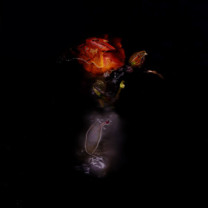 Album A Dying Breed, Pt. 1 (Explicit) from Piers James