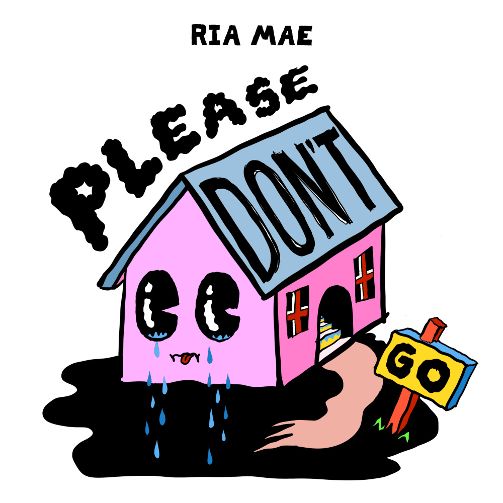 Please Don't Go