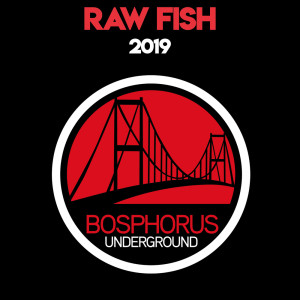 Listen to 2019 (Original Mix) song with lyrics from Raw Fish