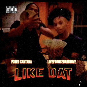 P3dro Santana的專輯LIKE DAT (feat. LIVEFROMCEDARGROVE) (Explicit)