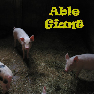 Album Album of Useful Tunes from Able Giant