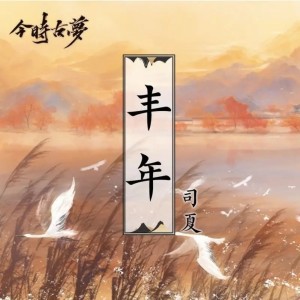 Listen to 丰年 (完整版) song with lyrics from 司夏
