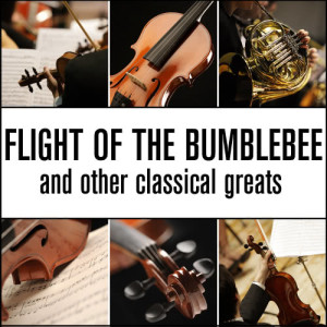ดาวน์โหลดและฟังเพลง Flight of the Bumblebee (Paraphrase By Sergei Rachmaninoff) พร้อมเนื้อเพลงจาก Rimsky Korsakov