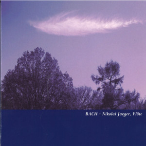 收聽Nikolai Jäger的Sonata in A-Minor, Wq 132: II. Allegro (Take 2)歌詞歌曲