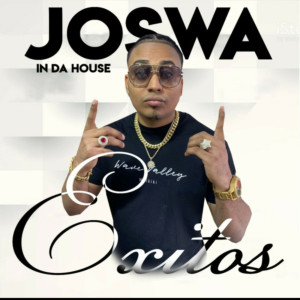 ดาวน์โหลดและฟังเพลง Tu Ta Cabaña (Remix) (Explicit) (Remix|Explicit) พร้อมเนื้อเพลงจาก Joswa In Da House