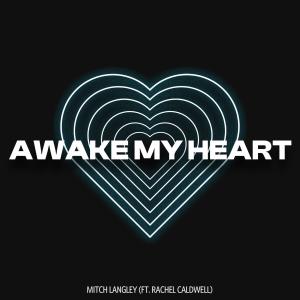 Mitch Langley的專輯Awake My Heart