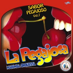 Sabor Pegajoso Vol. 7. Música de Guatemala para los Latinos