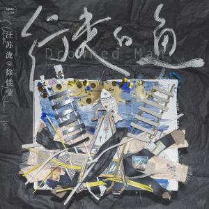 收聽徐佳瑩的行走的魚歌詞歌曲