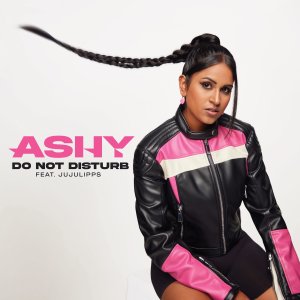 Album DO NOT DISTURB from Ashy