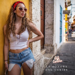 La Sonora del Caribe的專輯Ay Cariño