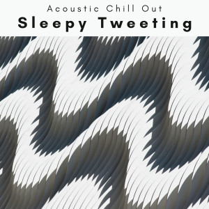 Acoustic Chill Out的專輯4 Sleepy Tweeting