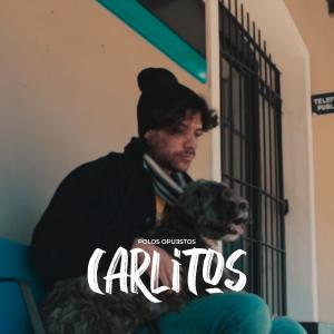 收聽Polos Opuestos的CARLITOS歌詞歌曲