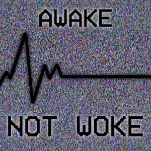 Listen to NOT WOKE. song with lyrics from Chandler Crump