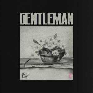 Album Gentleman from Popsickle