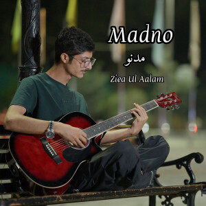 Album Madno from Ziea Ul Aalam