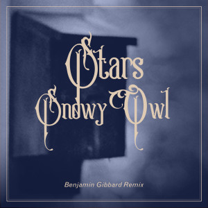 อัลบัม Snowy Owl (Benjamin Gibbard Remix) (Explicit) ศิลปิน Benjamin Gibbard