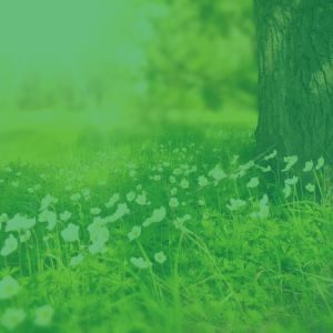 ดาวน์โหลดและฟังเพลง Sprightly Holiday Moods พร้อมเนื้อเพลงจาก Coffee Shop Jazz Relax