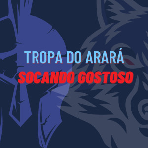 ดาวน์โหลดและฟังเพลง Tropa do Arará Socando Gostoso (Explicit) พร้อมเนื้อเพลงจาก MC Godoy