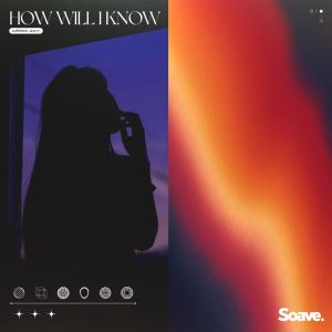 Aéro Jay的專輯How Will I Know