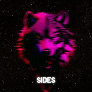 ดาวน์โหลดและฟังเพลง SIDES MIX (Explicit) พร้อมเนื้อเพลงจาก Nocturnal Wolf