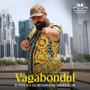 Listen to Vagabondul song with lyrics from B.Piticu