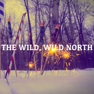 ดาวน์โหลดและฟังเพลง All My Life พร้อมเนื้อเพลงจาก The Wild