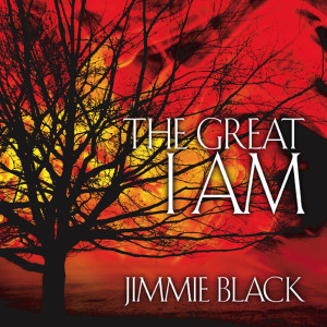 Listen to Promise song with lyrics from Jimmie Black
