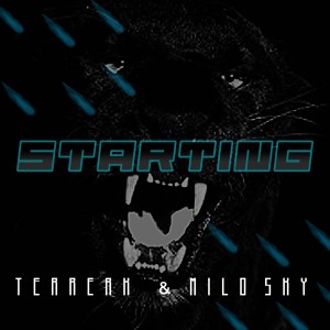 ดาวน์โหลดและฟังเพลง Starting พร้อมเนื้อเพลงจาก Terrerk