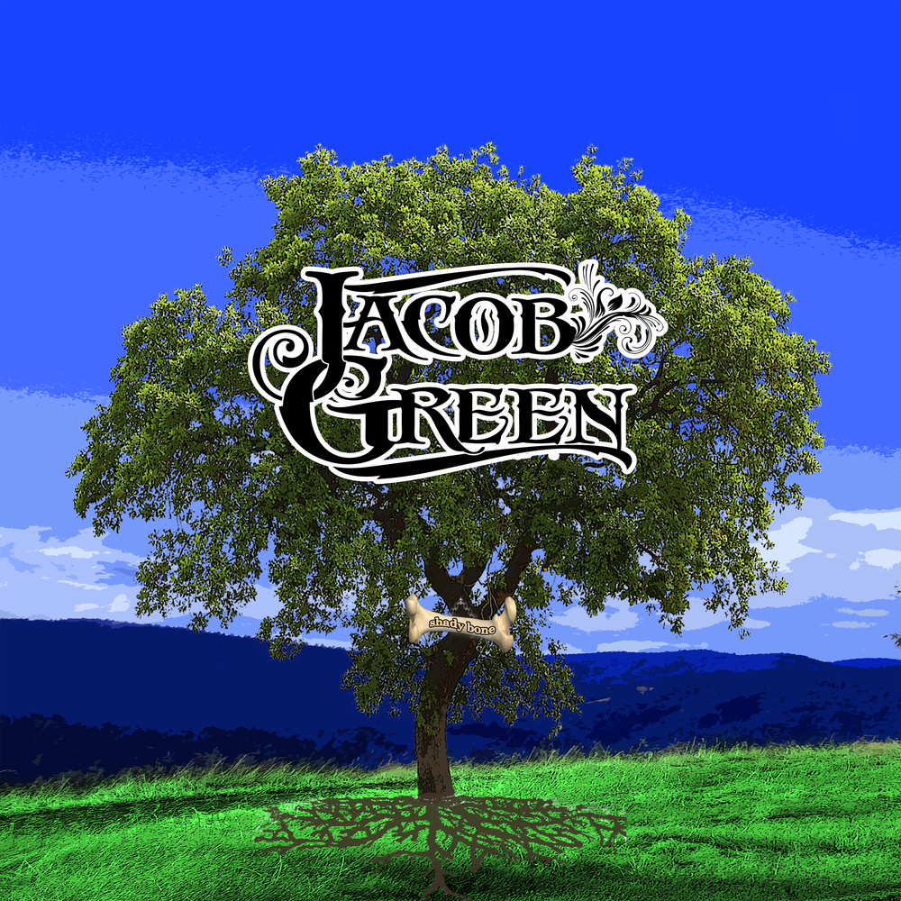 Shady Bone Groove (Explicit)