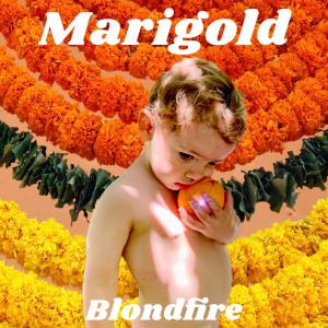 收聽Blondfire的Marigold歌詞歌曲