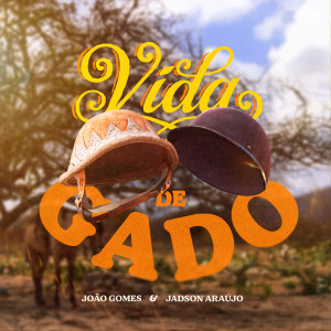 Album Vida de Gado from João Gomes