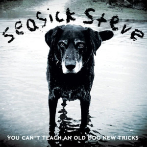 ดาวน์โหลดและฟังเพลง Treasures พร้อมเนื้อเพลงจาก Seasick Steve