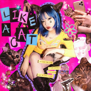 Album Like A Cat from 