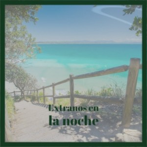 Album Extranos En La Noche from 