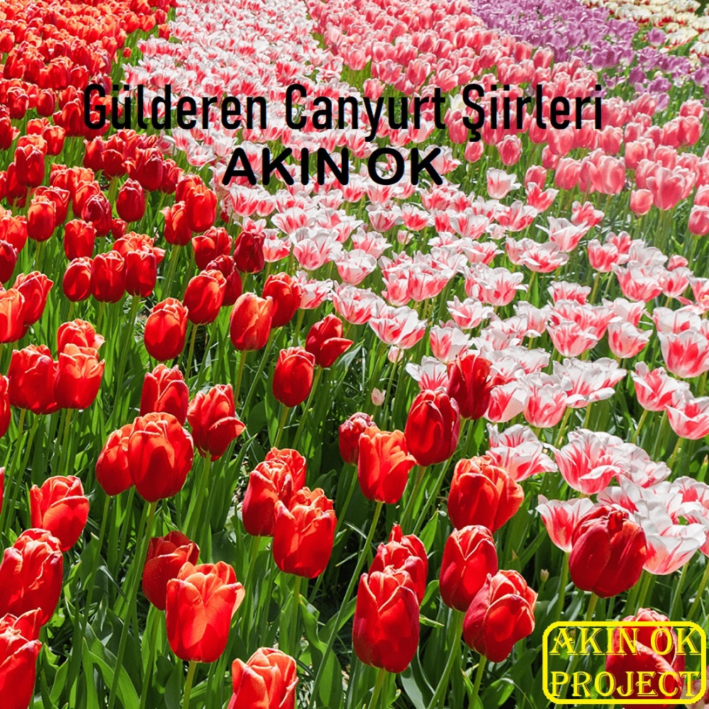 Gülderen Canyurt Şiirleri