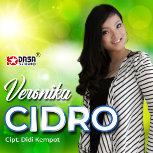 Album Cidro oleh Steve Handoyo