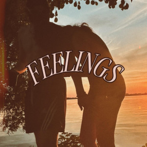 ดาวน์โหลดและฟังเพลง Feelings (Explicit) พร้อมเนื้อเพลงจาก Kirai