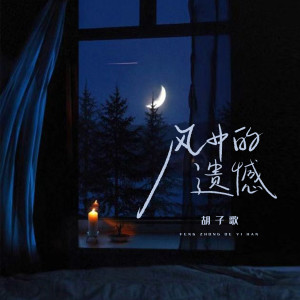 Listen to 风中的遗憾 (DJ小蒋版) song with lyrics from 胡子歌