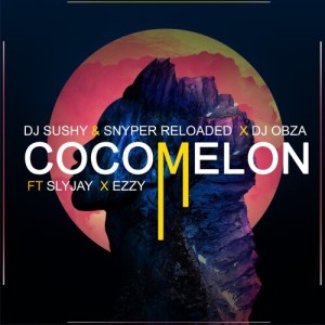 Listen to Cocomelon song with lyrics from DJ Sushy