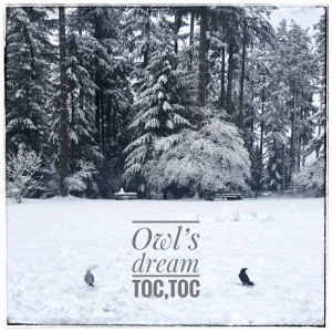 Listen to Owl's Dream(Feat. 김기원) song with lyrics from 토크토크