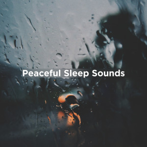 收聽Relaxing Rain Sounds的Calm Down Sounds歌詞歌曲