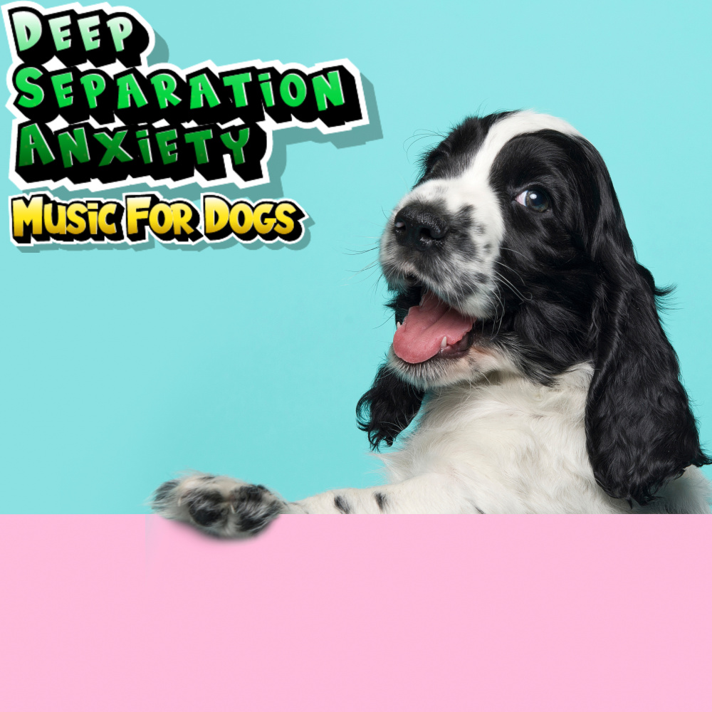Music to Calm Your Puppy
