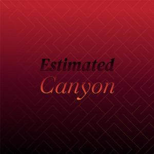 Listen to Estimated Canyon song with lyrics from Tyro Bham