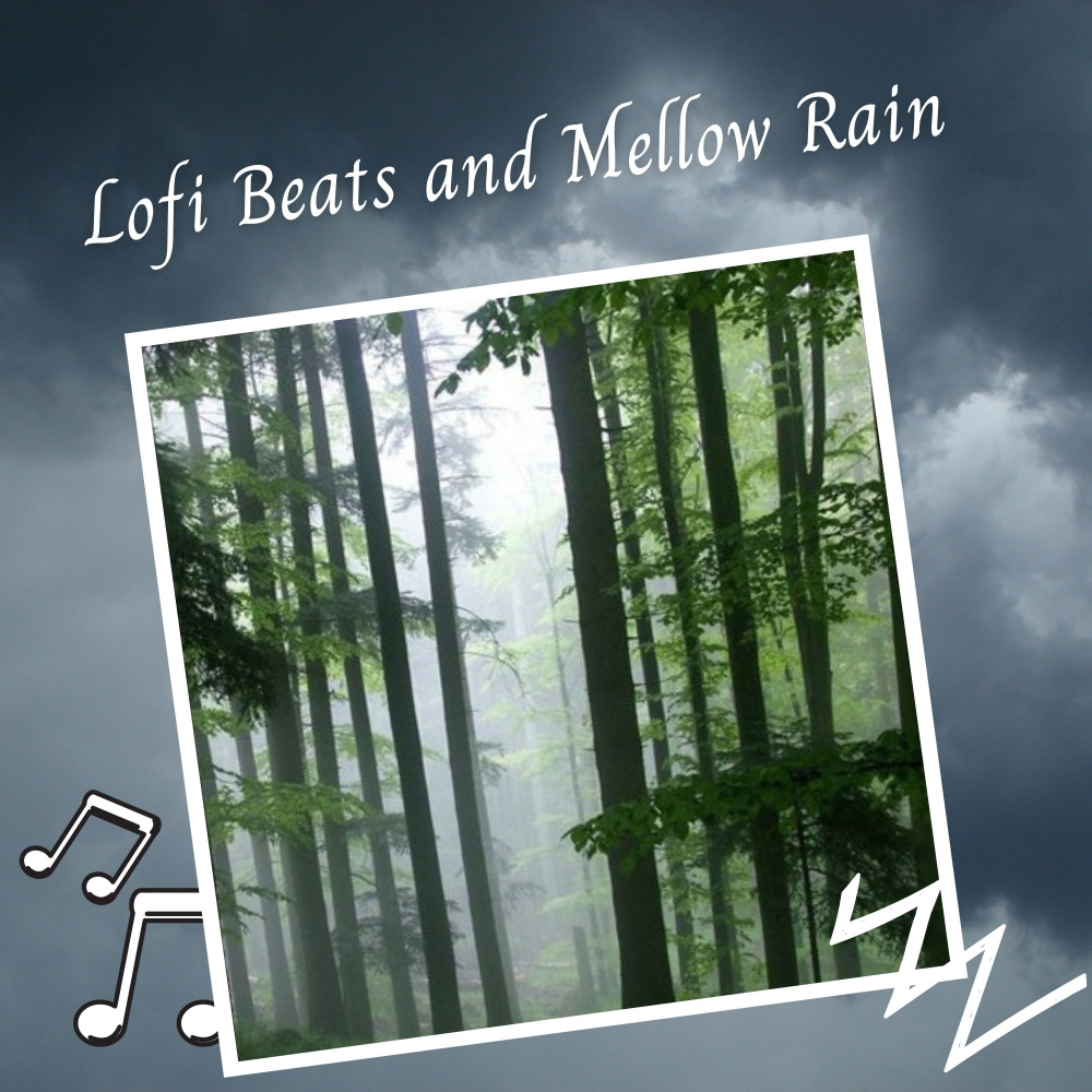 Lofi Beats and Mellow Rain - 3 Hours
