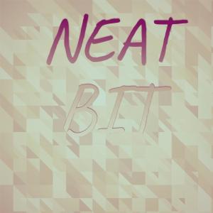 Album Neat Bit from Various