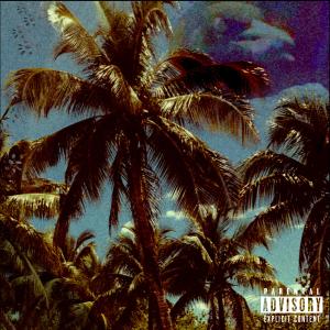 Album PalmTreesDeadDreams (Explicit) from Gnomo