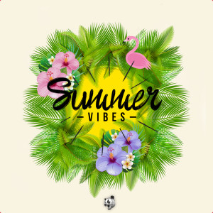 Listen to Summer Vibes song with lyrics from Ruan